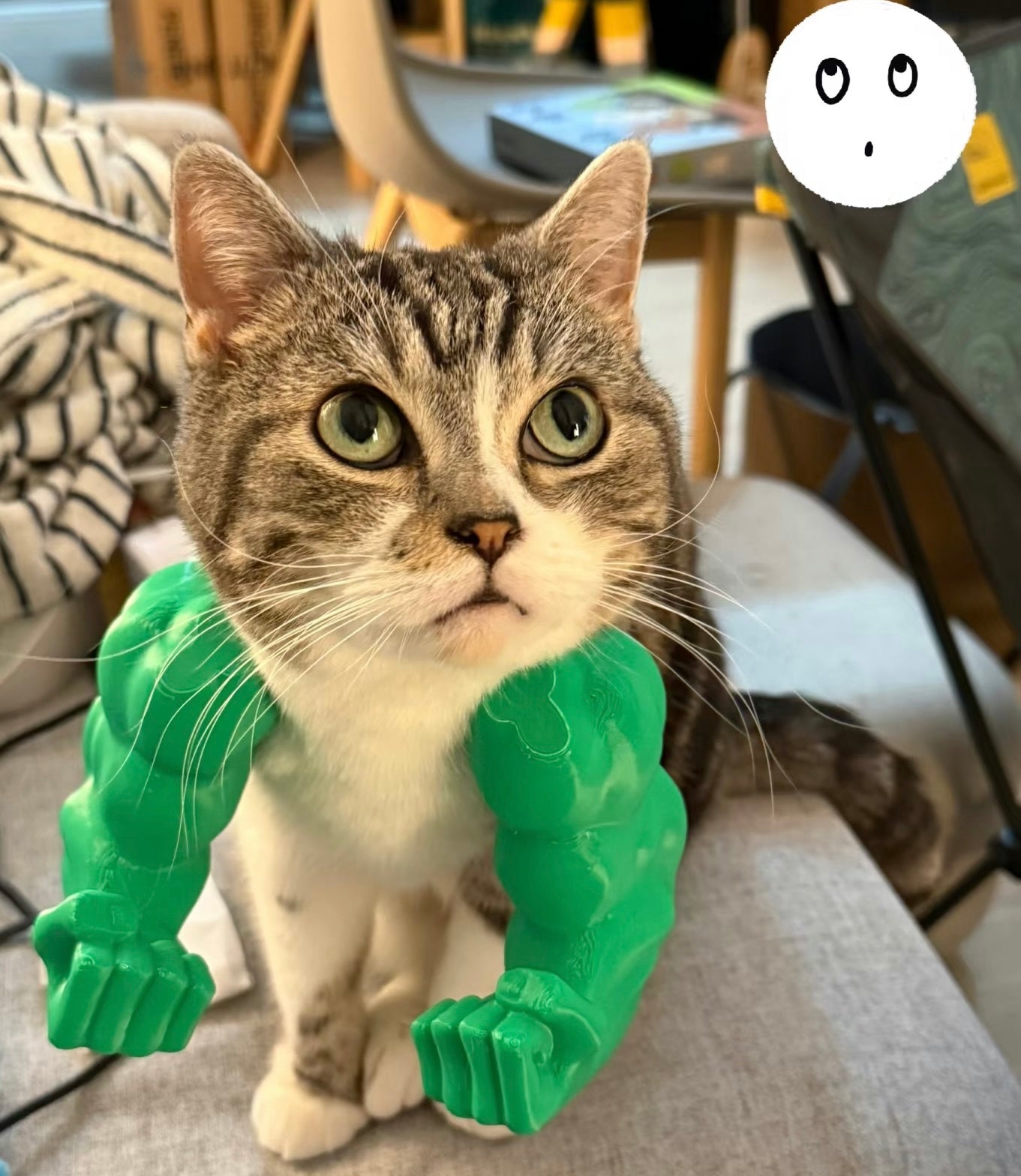 Muscular Arms for Pets