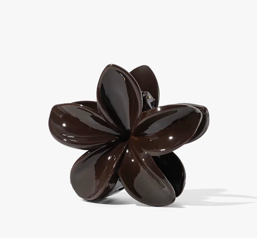Elegant Hair Clip Brown
