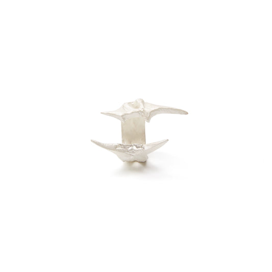 Modern Sleek & Timeless Design 004
