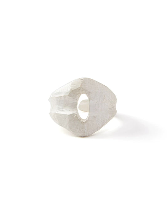 Modern Sleek & Timeless Design 009